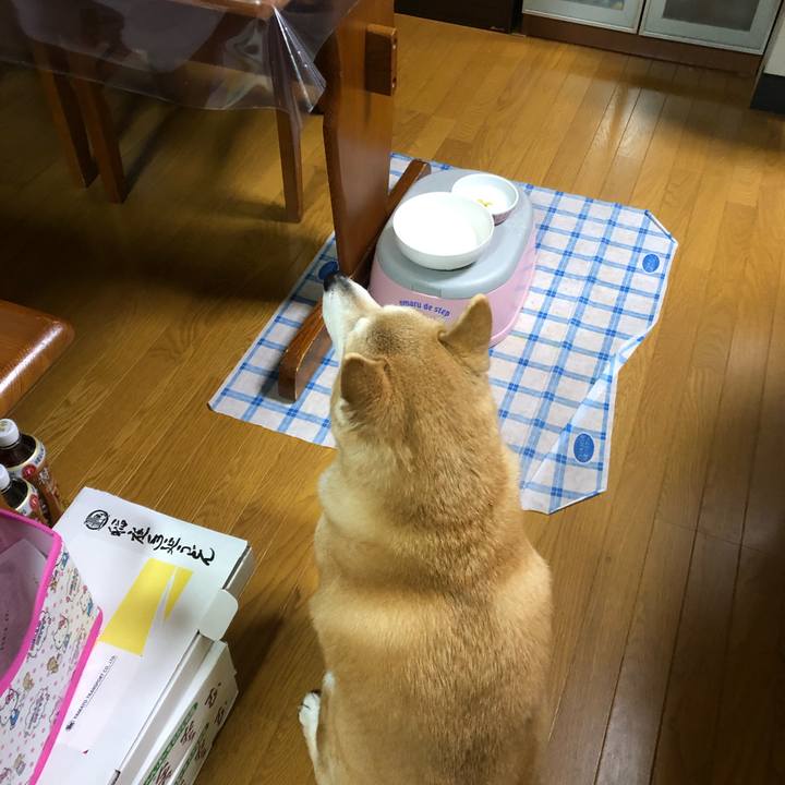 0918b8ab 8475 4c83 970e 3d6fdfa06d36 1584366033532