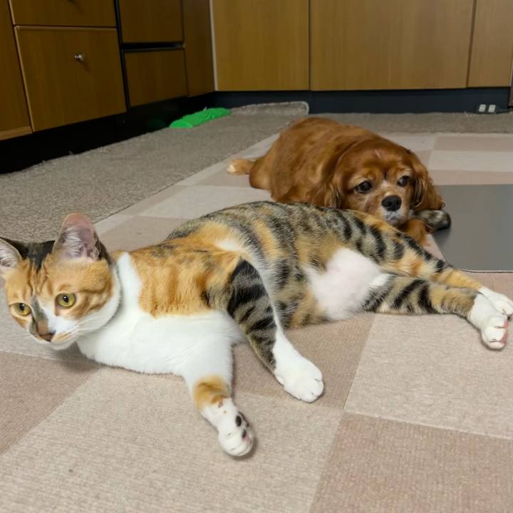 0919260a 73c7 4efa aeab 65dbd6d09e3a 1688337389000