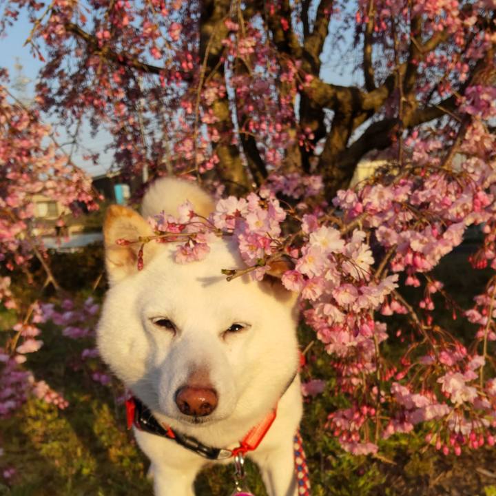 0919272a 0859 400a 9e07 e3a808739ef7 1680512754817