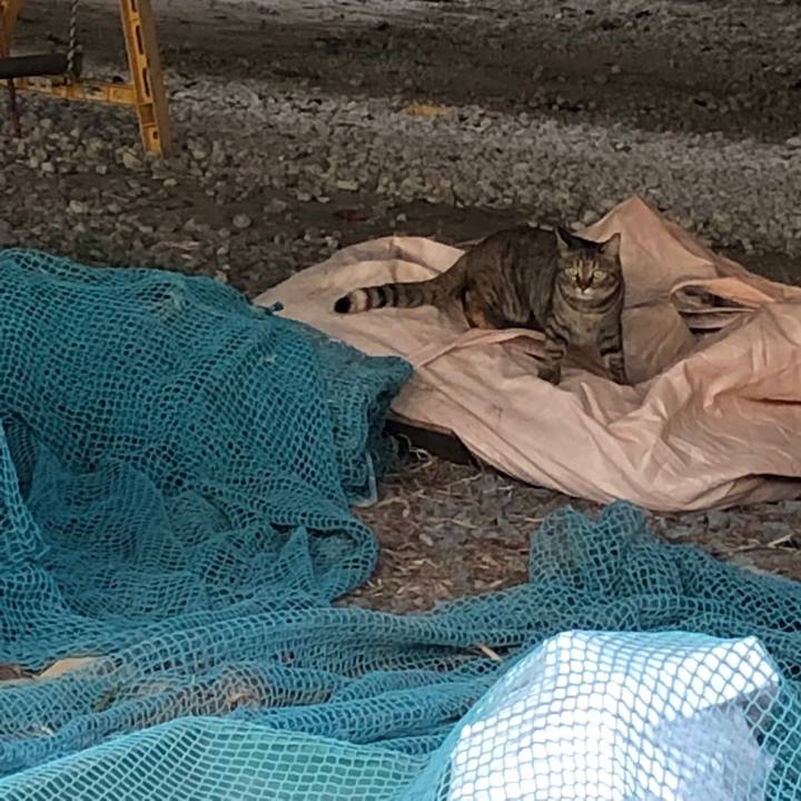 09193761 213a 4064 ab4c d5c6047b5eeb 1554473542796