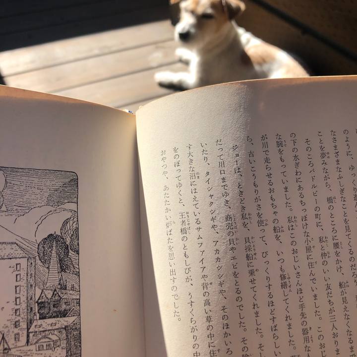 091937f5 601a 40b1 aef2 29c9ad7ce9d8 1605442667247