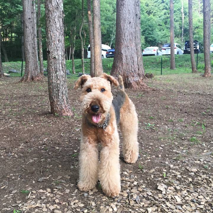 09194960 cda9 4b7f a15c f86e00c488c5 1533477252439