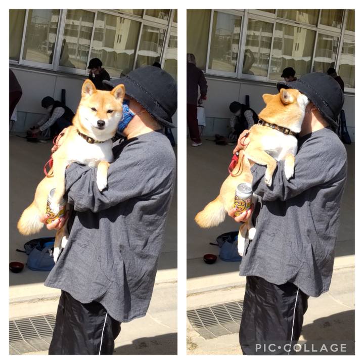 09195028 f44a 4d46 bff2 fcc246294cc6 1677984674852