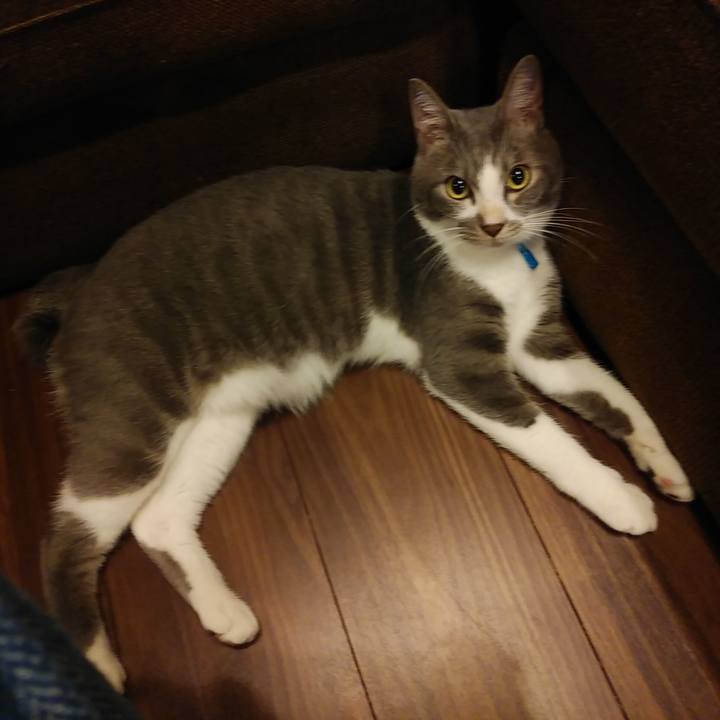 091976c3 e616 4901 a76a 6f72a244772b 1595510660089