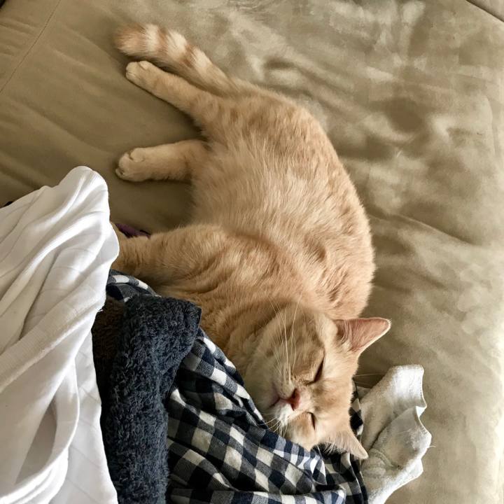 091976ef 794d 4363 adb0 db0d09b98ea9 1524379024389