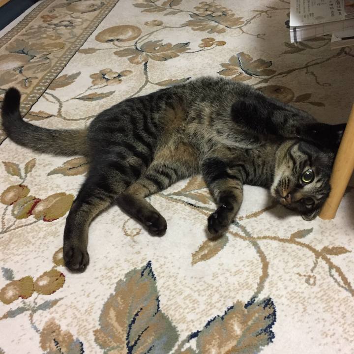 0919ad38 117d 4ba4 b418 d7ad2a5f8c54 1530360896732