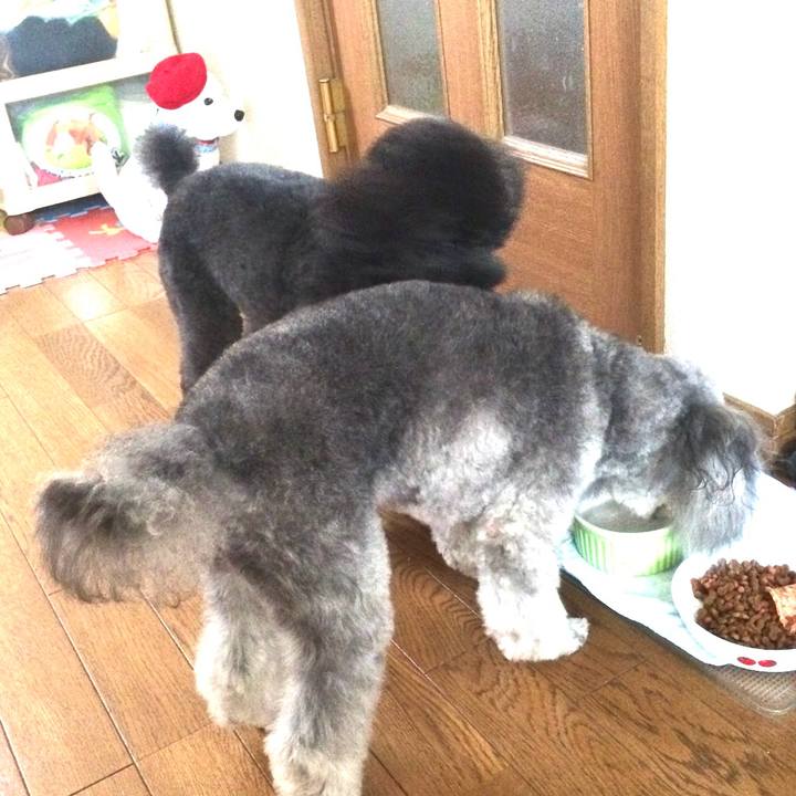 091a07f1 99d2 4260 b3ec 7748ae5450b2 1766625424960