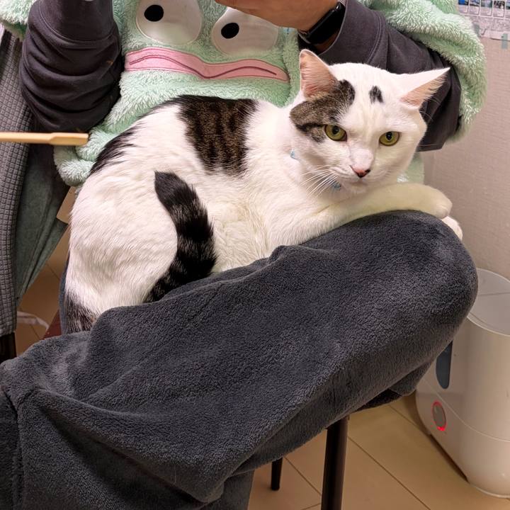 091a24dc bf6e 470b b62a f126e5e0f70c 1770564044535