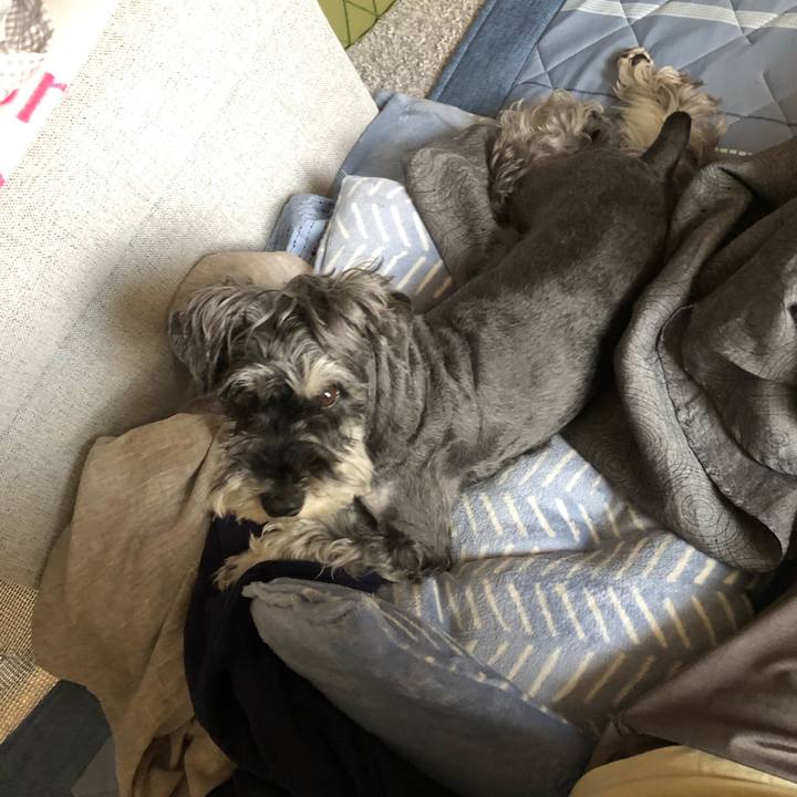 091a40c4 34ac 4b26 b1f0 6cc25b600dee 1687575521565