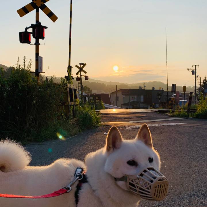 091a9229 b248 4b92 81f7 322445e8d94e 1594930705293