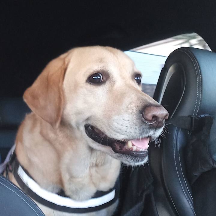 091aaa6e 142b 44ba 8c16 8590c87ddfb2 1607597967718