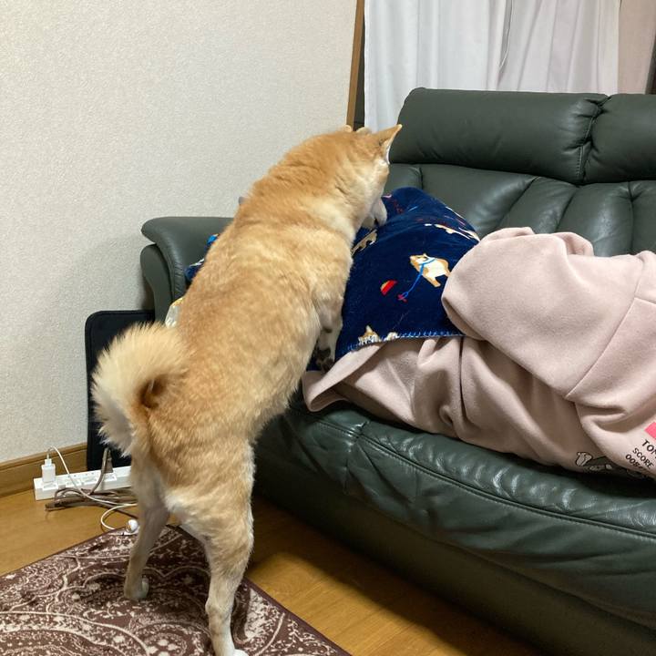 091ab985 7cc2 4c26 97a9 8a48a5c3ab18 1612594474632