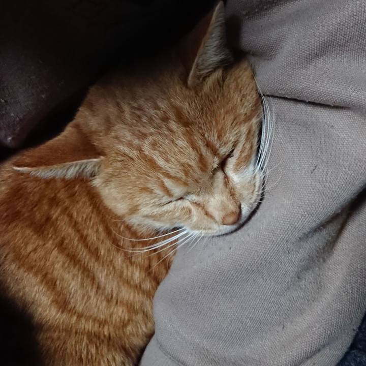 091ad99e a89e 4ac0 977c 131afdf8f008 1576094606531