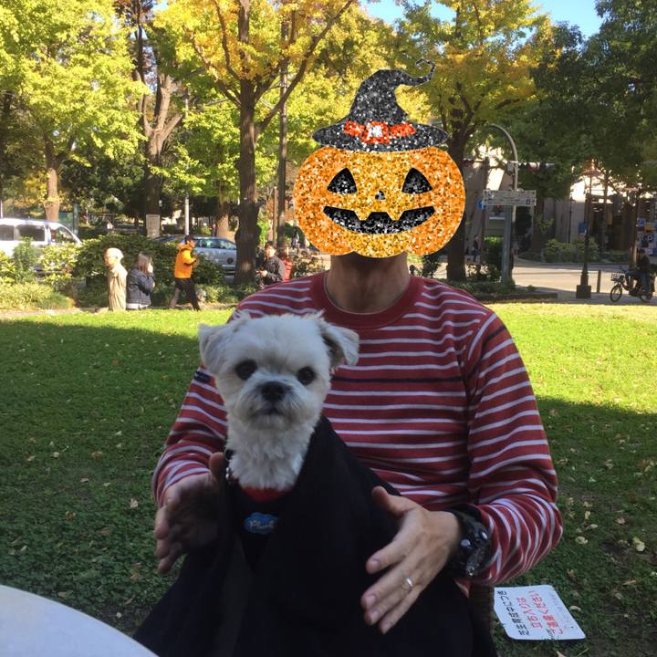 091af088 ca9e 4d33 9662 61cad3c1dfce 1509719231720