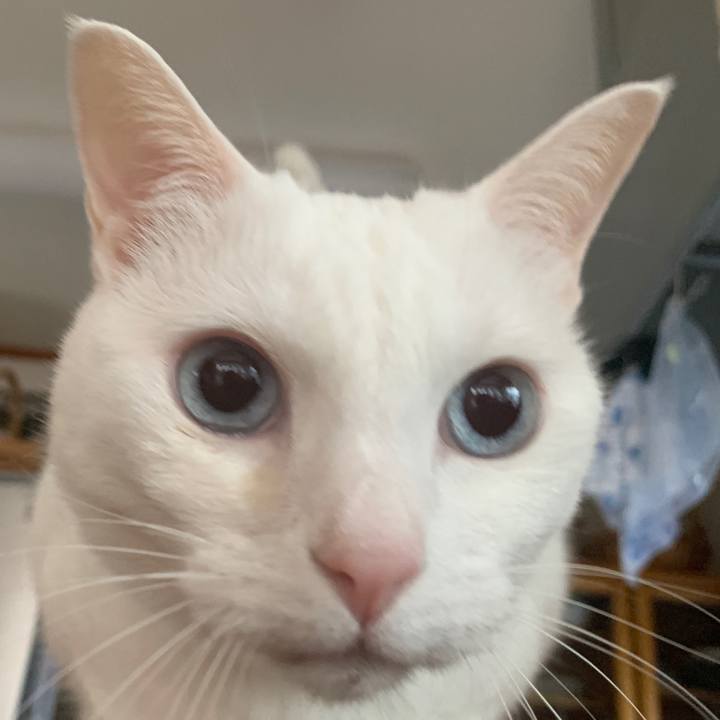 091b015c 7e75 473d 9bd5 8780b1f705ed 1653224276555