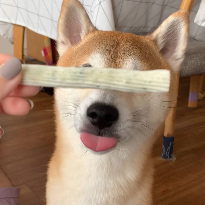 091b04fa 0819 40e2 a274 f559db9393f7 1596110446741