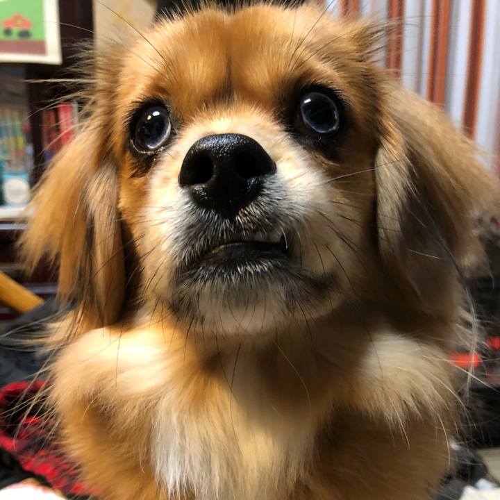 091b58ef d37f 4790 a7da 3412c3a80565 1512338178294