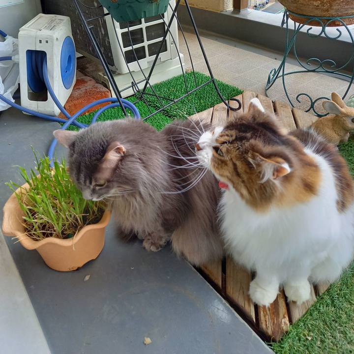 091bd794 7b7b 4c81 8d38 4a6161ea7d44 1611895112755