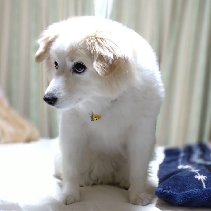 091be531 1875 43a5 a4a6 1d88cc3e001d 1652699570772