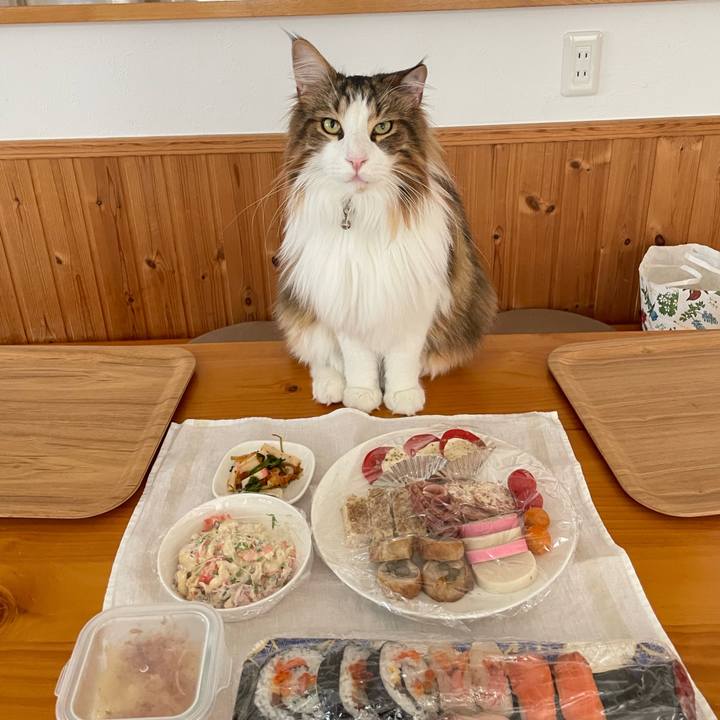 091bf911 6f33 4f96 a3f9 1237c5e26c11 1672615458967