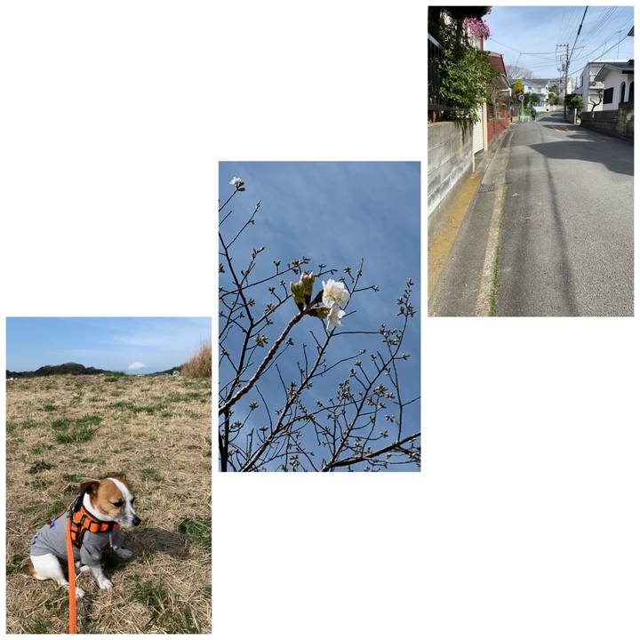 091c1d80 a051 4ab0 959d 832e8d3afc5e 1584062425432