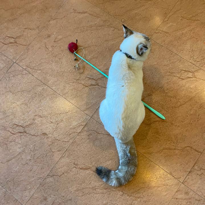 091c352d 0a6b 4ed1 bdc3 05119a36770e 1646554493762