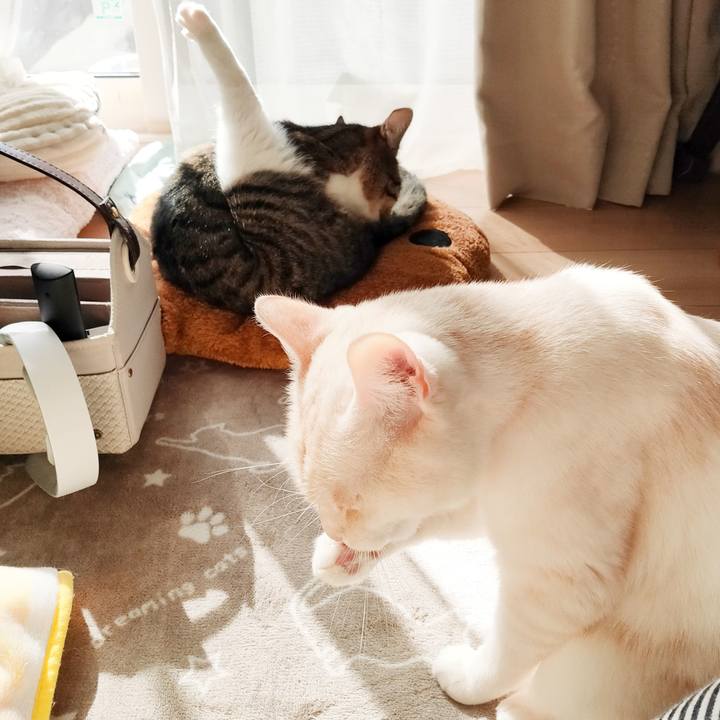 091c3ab9 5c6d 43fa b05f 6ca6d92d9f5e 1677545721749