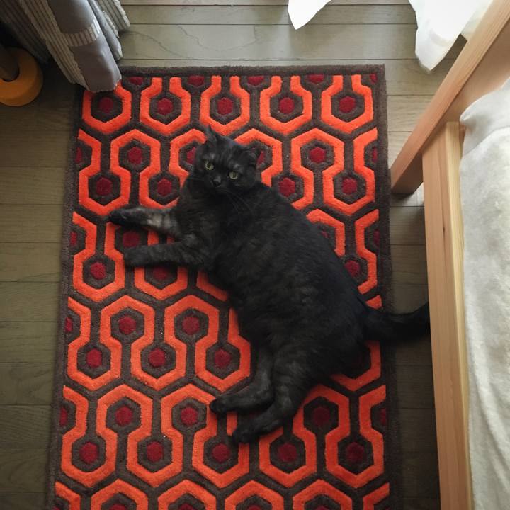 091c4efe 27e6 4ee7 aa6d 8e405d7cc192 1531711157713