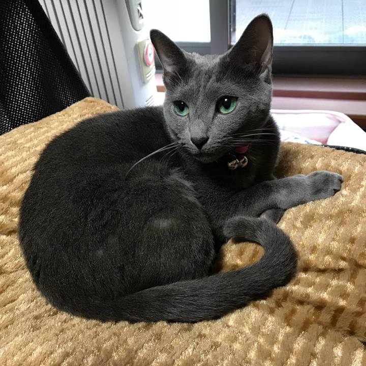 091c5e40 1d75 4418 aece d2f19d68f384 1515653009374