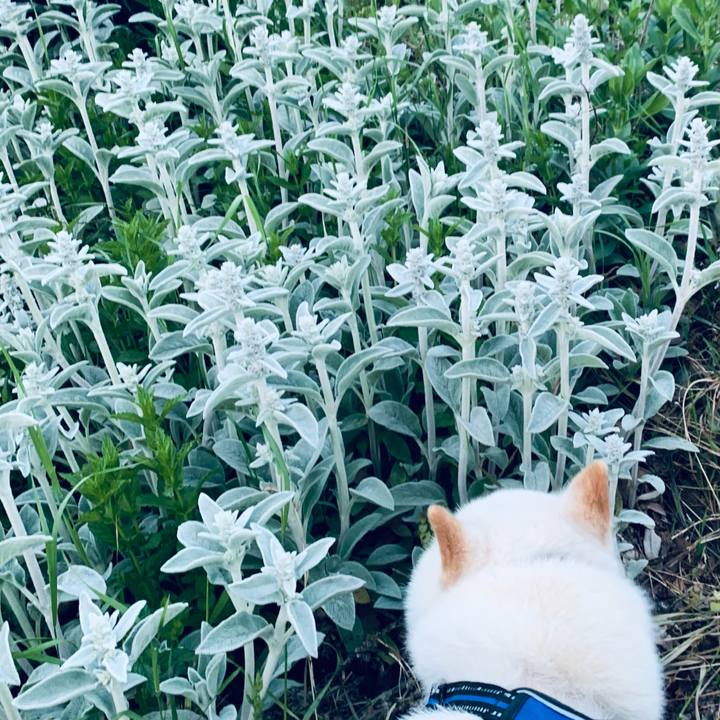 091caa68 72fb 4600 a42e 0f3180215433 1654980023540