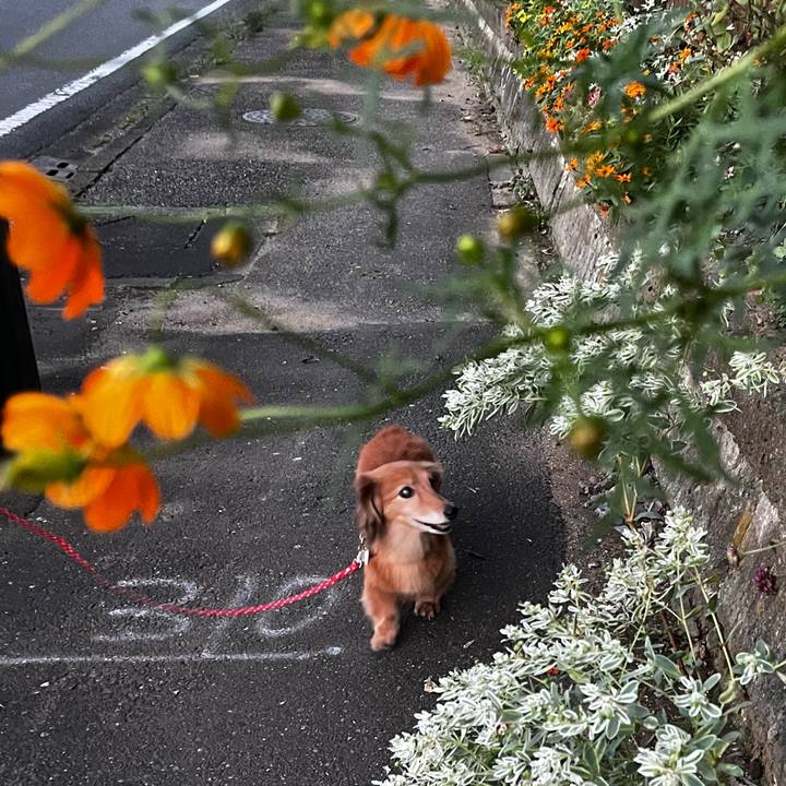 091cd7eb 367d 4e05 8801 1c22fc49955d 1664100370548