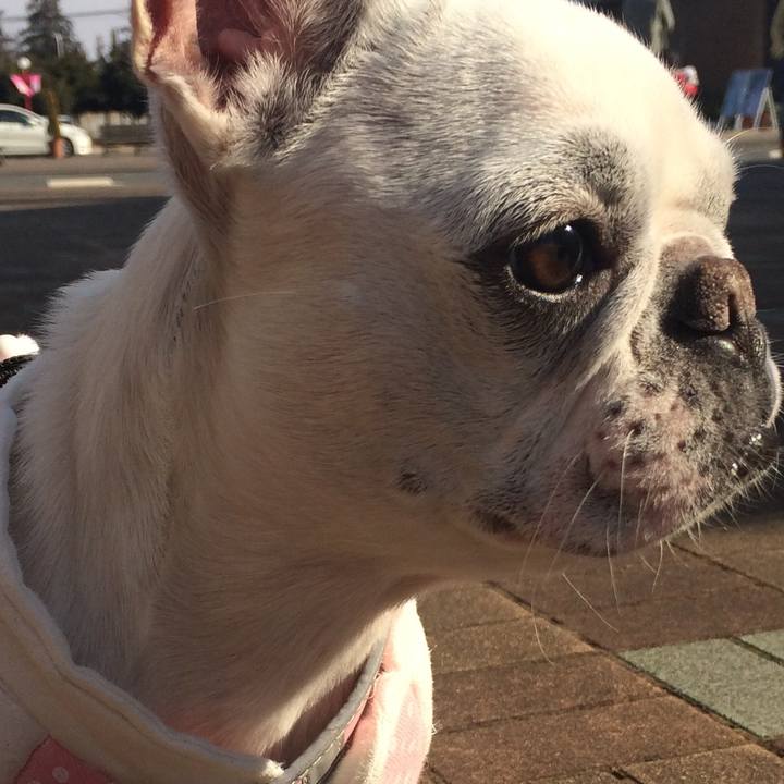 091cea17 f349 421a 92c6 88f833bfa9c8 1518266422668