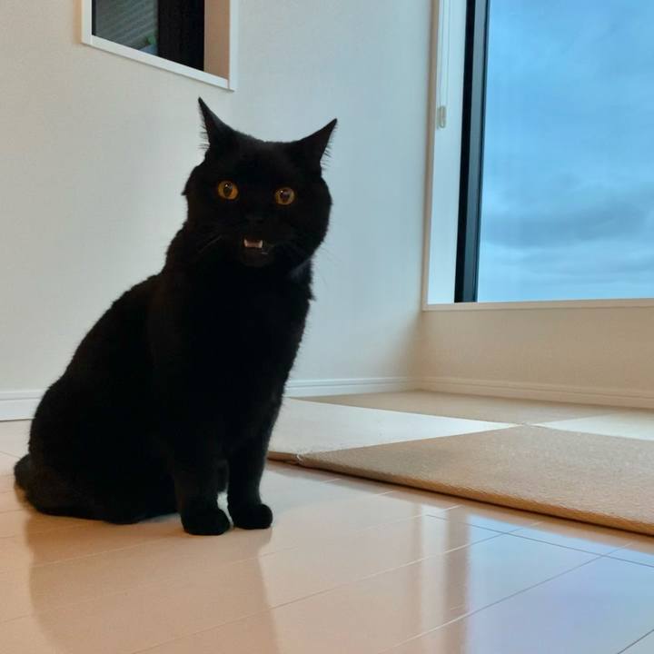 091cea25 8217 4ed5 9f10 f7105b721cc9 1653990181337