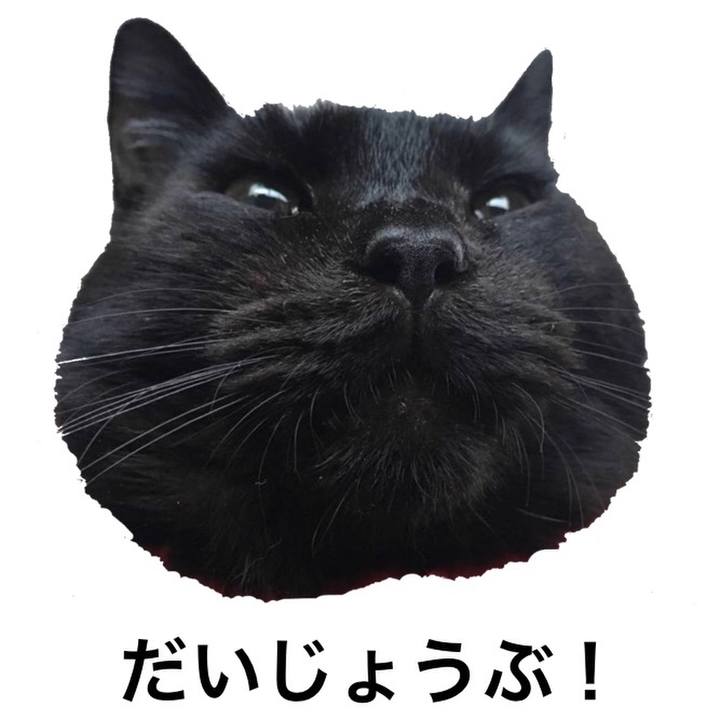 091d36a0 8b12 49c8 8b9d 84daa19eafd8 1593818760997