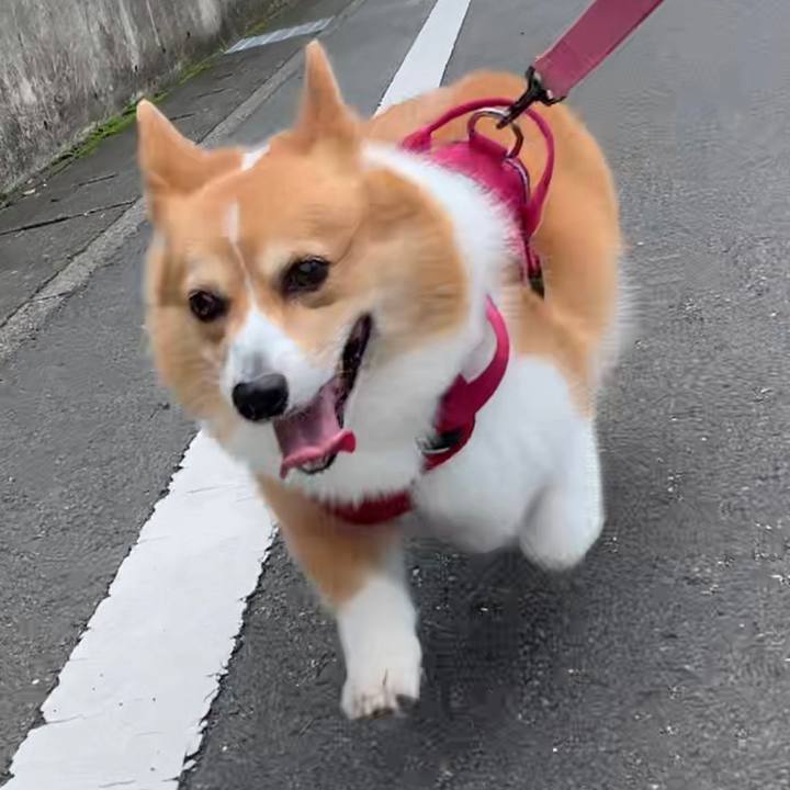 091d5d11 e98c 421b 9933 c85713cbc597 1662694864449