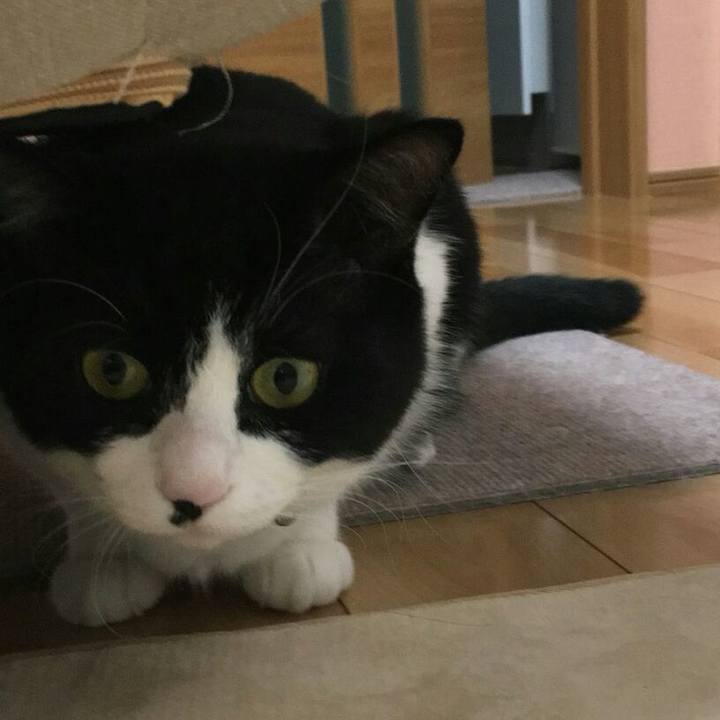 091d5fbe 927f 4f15 899e 6a92f5783213 1510147457670