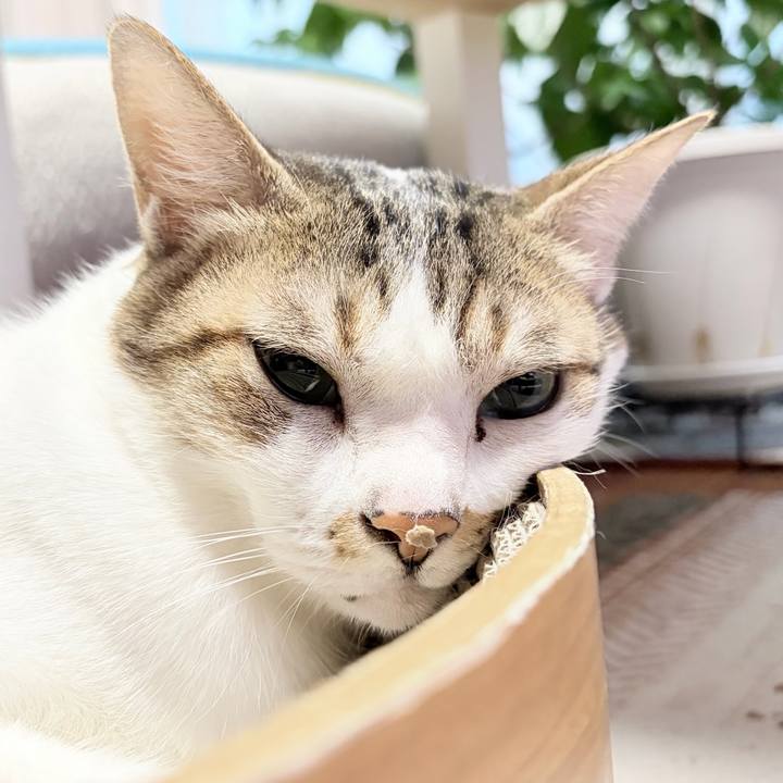 091da355 3fbf 4f26 afbe c532667bae9c 1768517034763