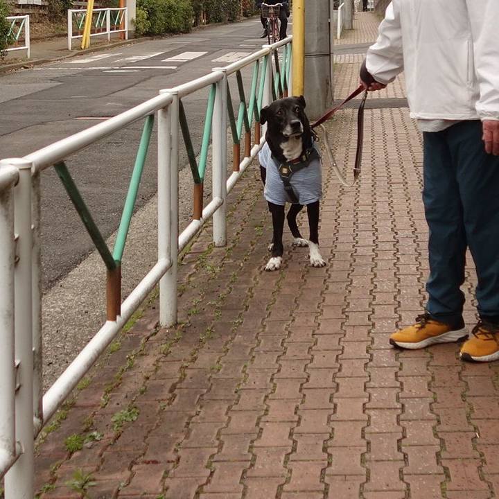 091da7bd 83eb 49ab 852d 2eeb7a12a70e 1741650856271