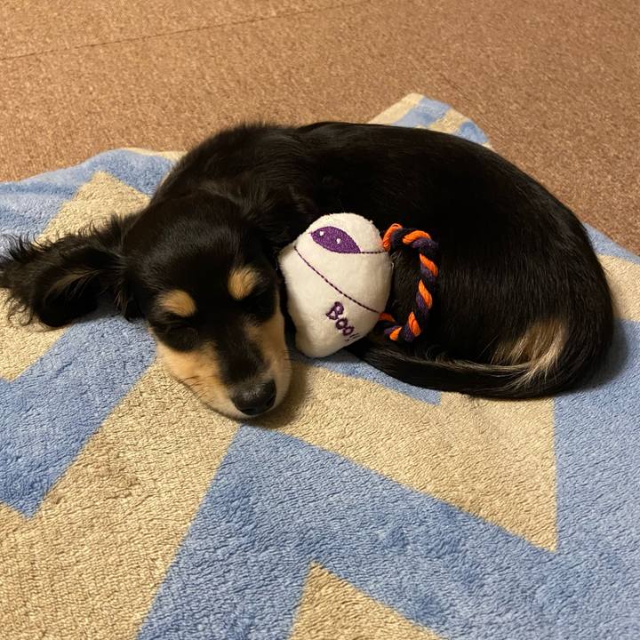 091dcf0e ec35 4cd1 b565 e3a31044cf9e 1665925858147