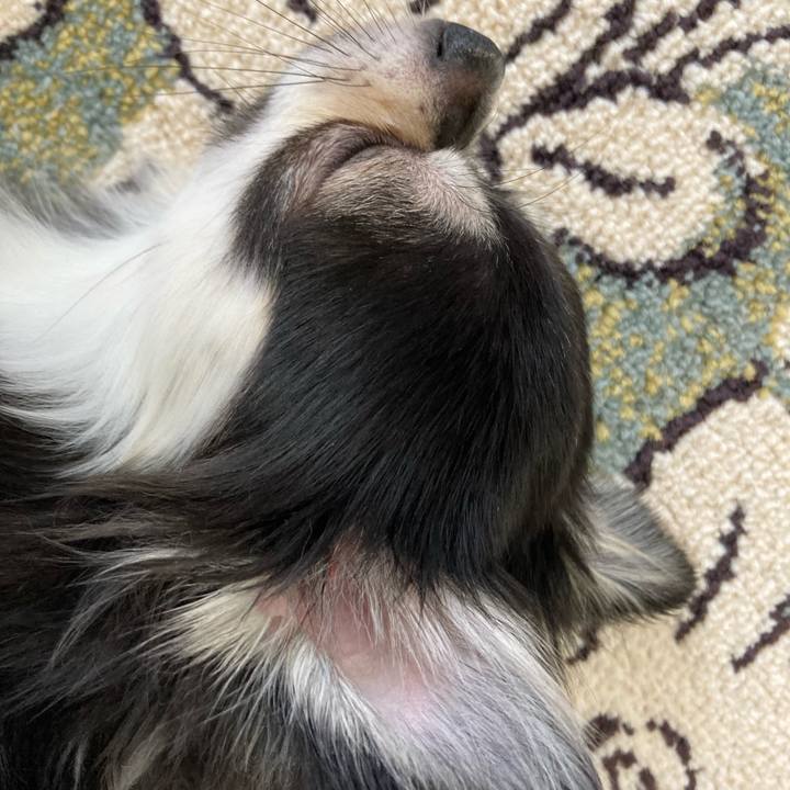 091e011a acd4 491b 889a 93c8086a9b3d 1629603011951