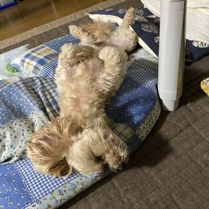 091e55e2 1bbd 4709 a467 d0bcdd9374d1 1594628089282