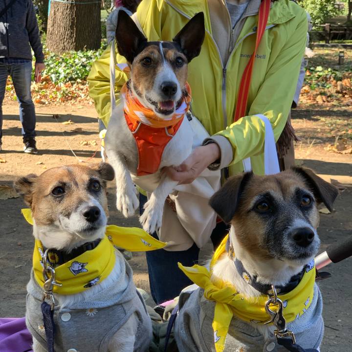 091e671e db83 455c 93f5 43393efb2e63 1606569027067