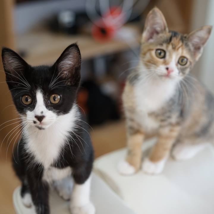 091e781e 8a47 4691 bf47 144fef5a1fa4 1568711672392