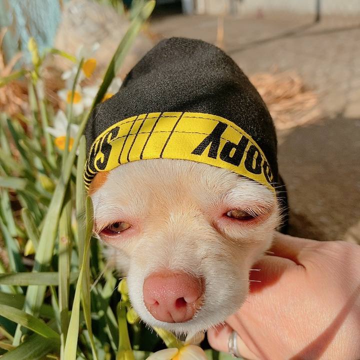 091ed26e 1094 48ca b9fd f16edcf3e5c5 1612258855796