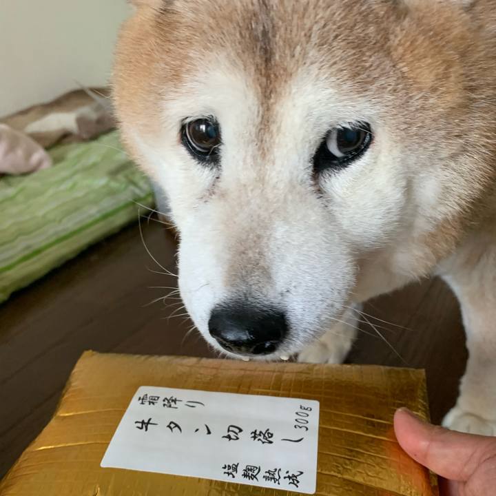 091ee631 1486 4627 87aa 4e071e7d596f 1652017703576