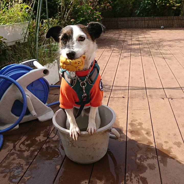 091f06de a25e 45b3 8cfd ac6ab6ea154f 1601538267513