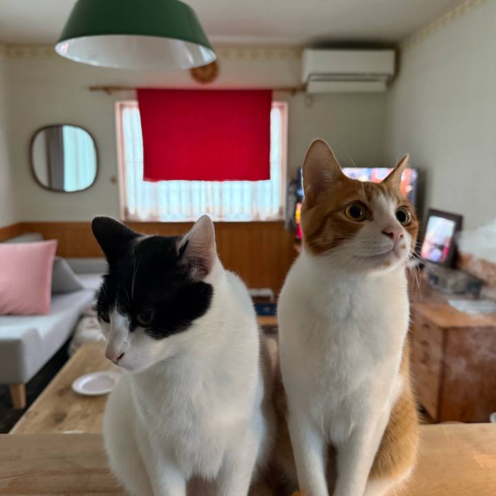 091f45af 07b8 4055 8e8c e4889d25a6cb 1770814696514