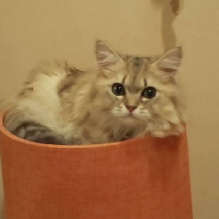 091f6690 5d38 42ae b485 d8d2031b8464 1563251916787