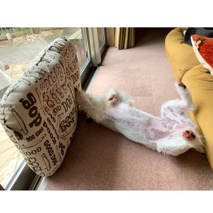 091f7bcc 4d31 488d a92e eb55d88be02b 1589002347901