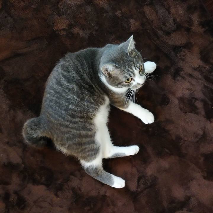 091fb5a6 379e 436c b1c6 301d4844e2f7 1576278522823